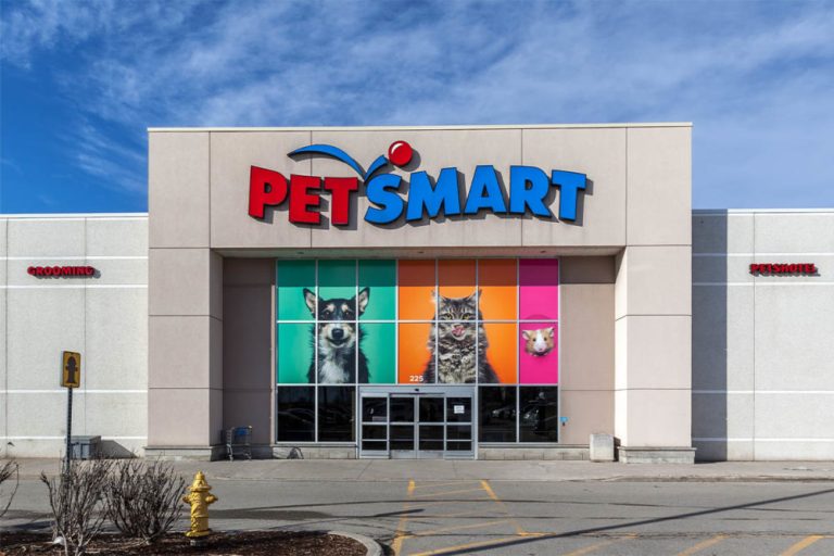 Pet Groomer Vacancy at PetSmart: How to apply